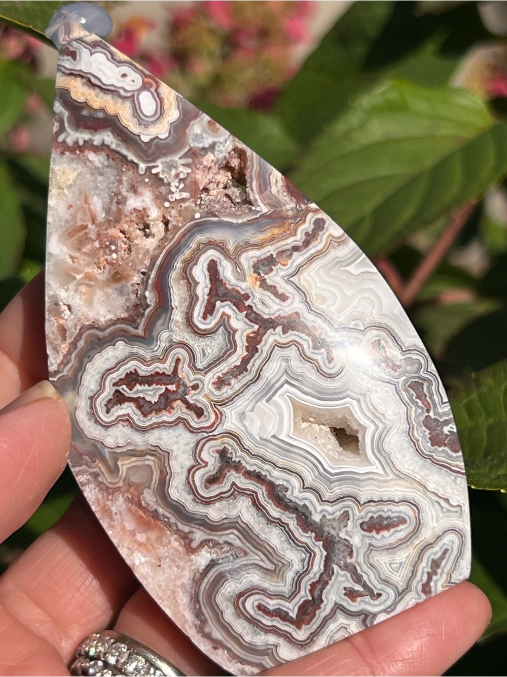 Mexican (3) lace agate teardrop | Crystal
